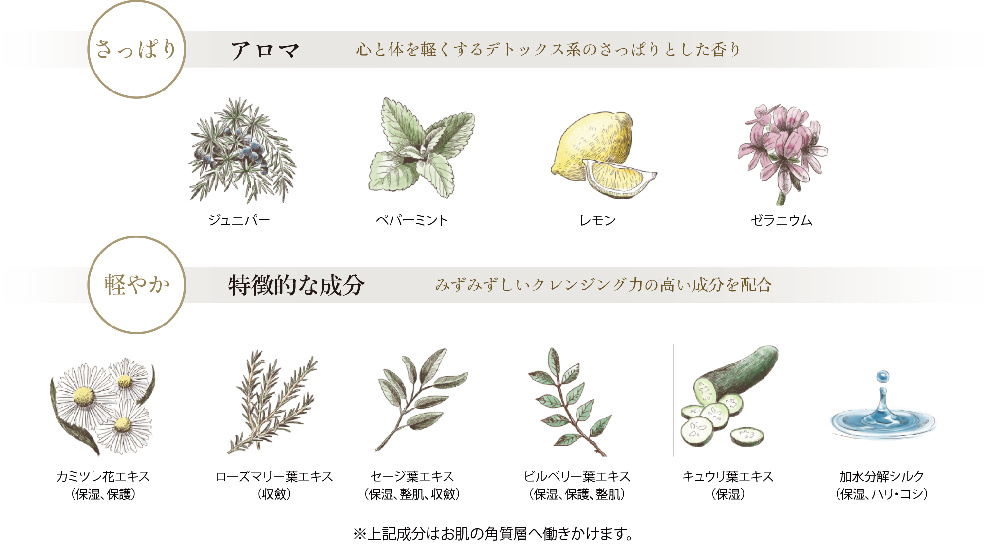 新月シャンプーのアロマと特徴的な成分